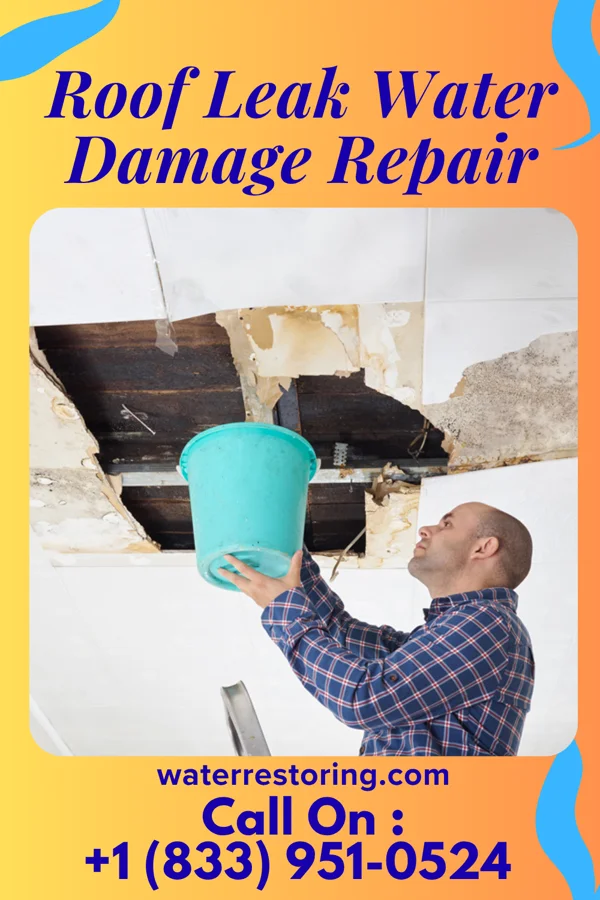 Roof Leak Water Damage Repair in Orland Hills, IL